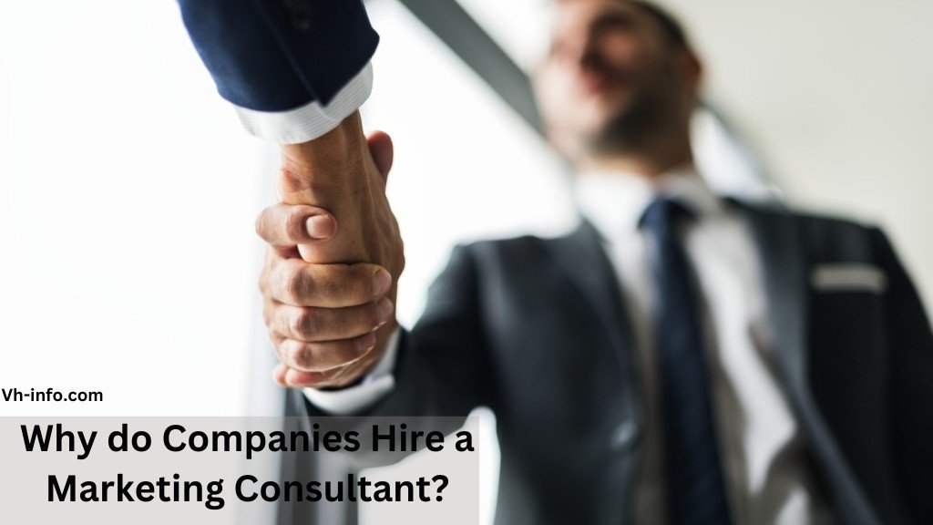 Why do Companies Hire a Marketing Consultant?