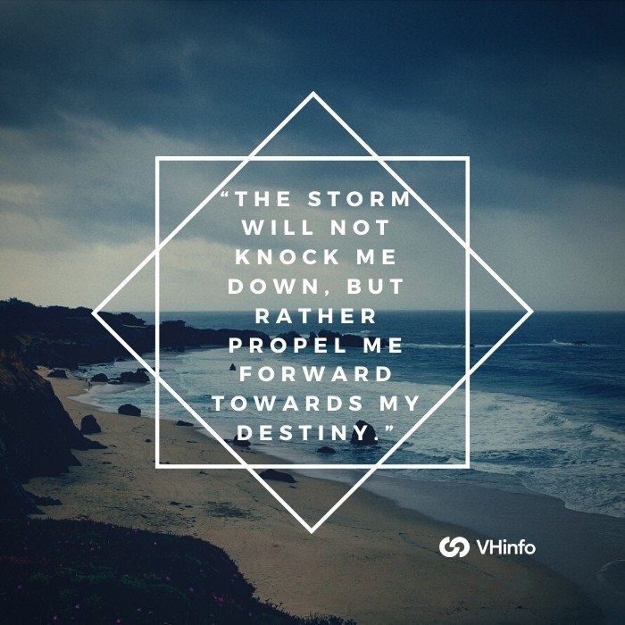 I Am The Storm Quotes