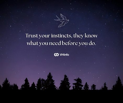 Quotes about Trusting your Instincts 