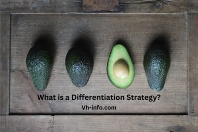 What is a Differentiation Strategy?