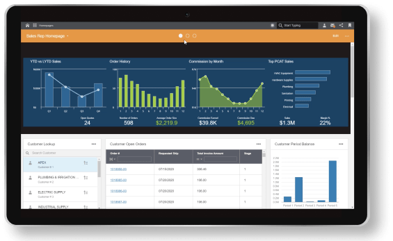 Infor Distribution ERP Software