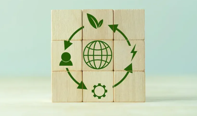 Sustainable SaaS