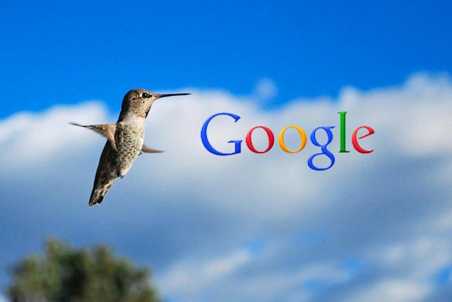 Adapting To The Hummingbird Era: SEO Best Practices