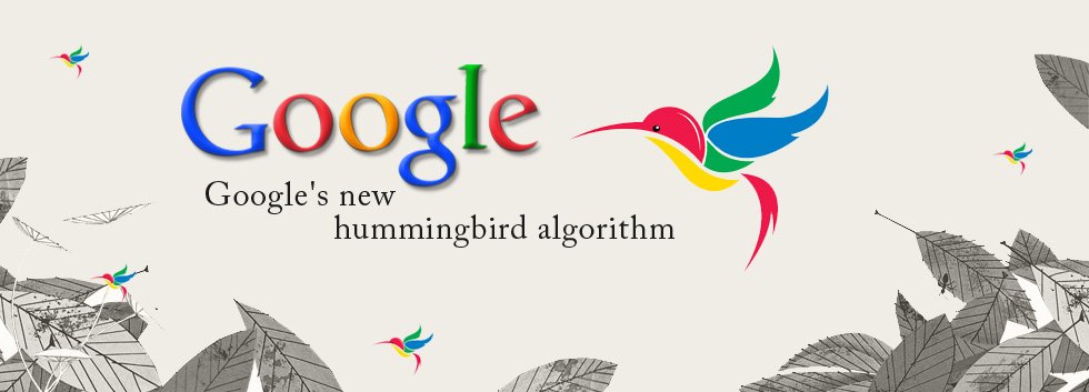 Is Google Hummingbird An Algorithm?