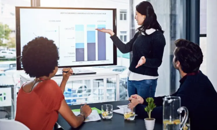 What to Look For in an SEO Mentor?