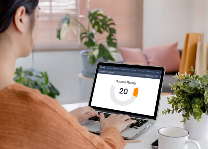How Does Domain Rating Work?