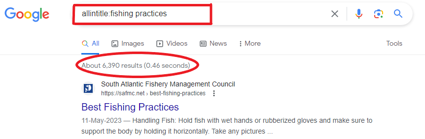 How to Use the Allintitle Search Command?