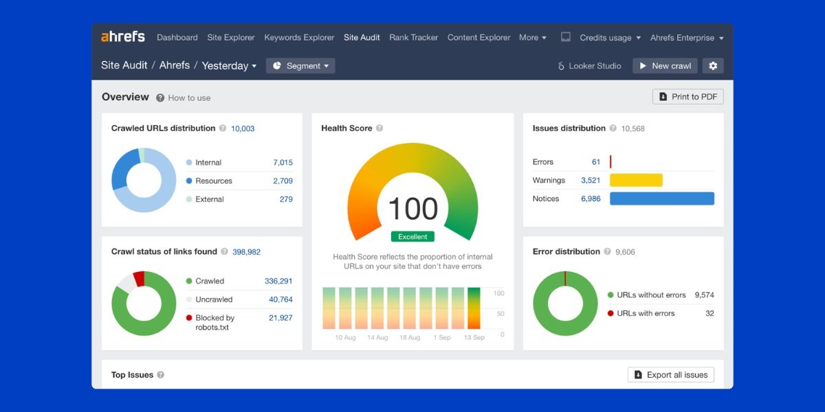 Ahrefs Backlink Audit