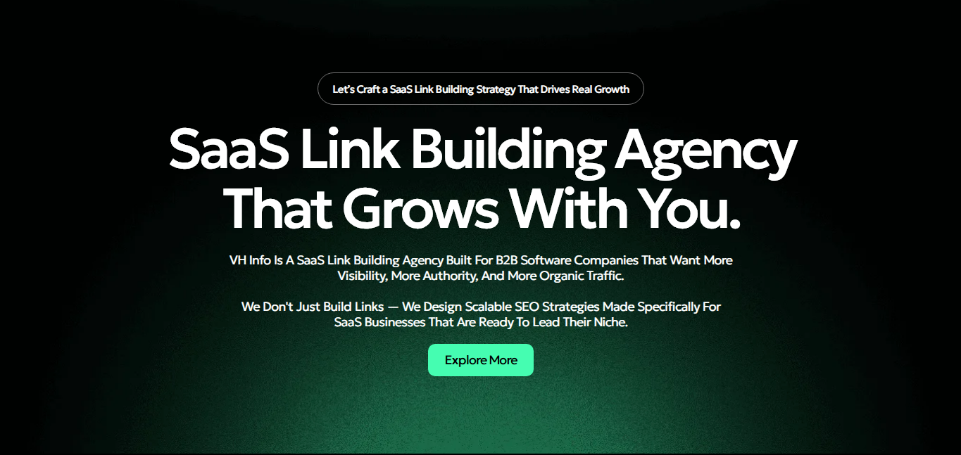 VH Info: A Link Building Service Provider for Ukraine